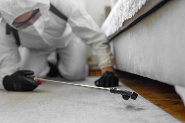 Professional Termite Control technician working in Sacaton, AZ